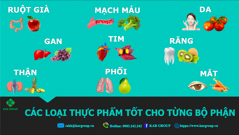 CÁC LOẠI THỰC PHẨM TỐT CHO TỪNG BỘ PHẬN
